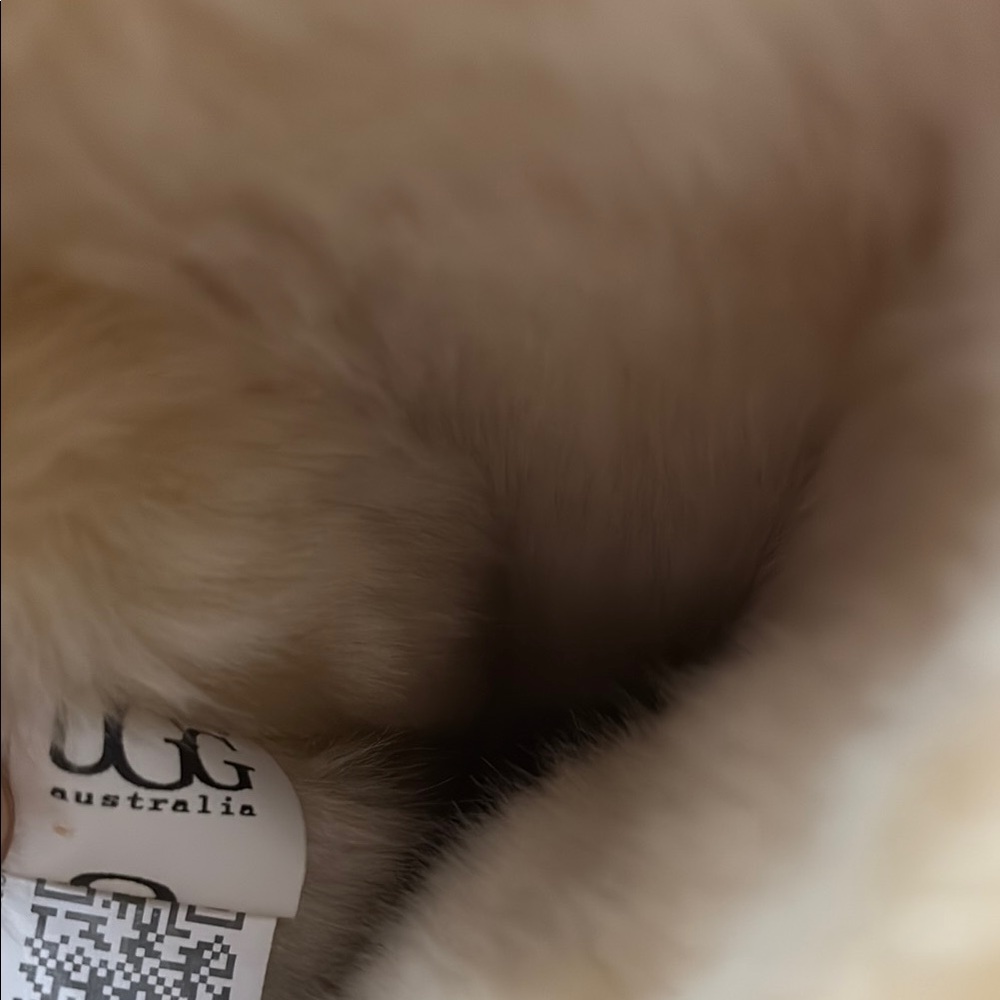 UGG Tan Boots - Picture 5 of 7